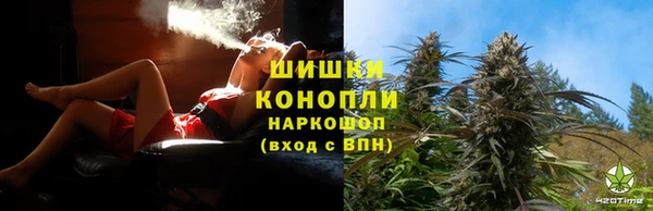 ешки Аркадак