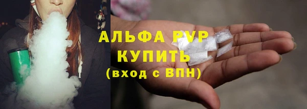 твердый Арсеньев