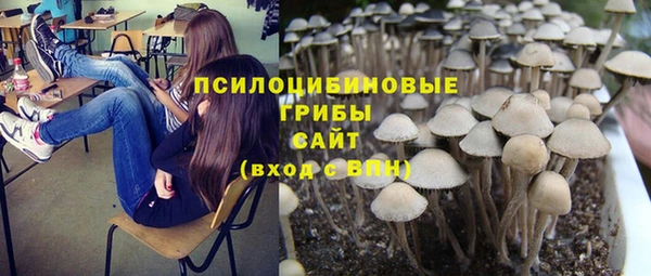 твердый Арсеньев
