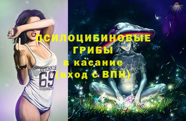 меф Богородицк
